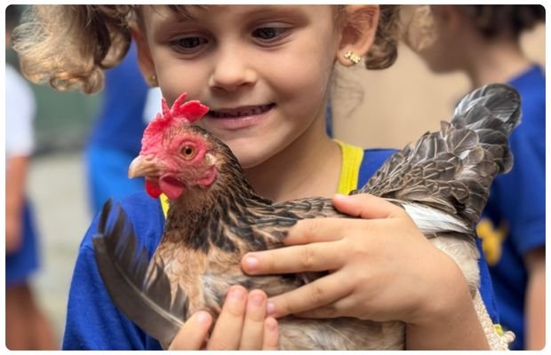 escola-centro-educacional-plaft-santa-terezinha-bh