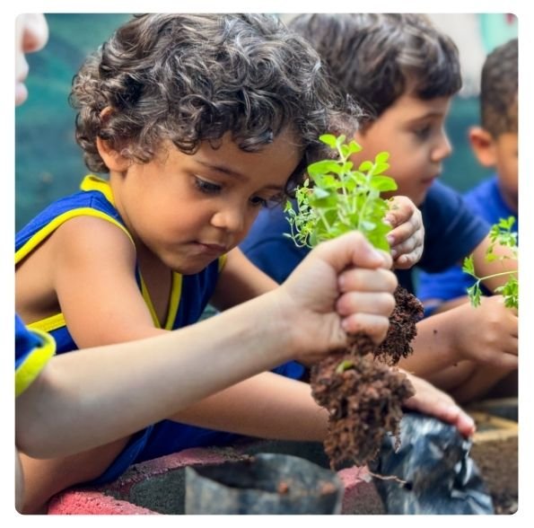 escola-centro-educacional-plaft-santa-terezinha-bh
